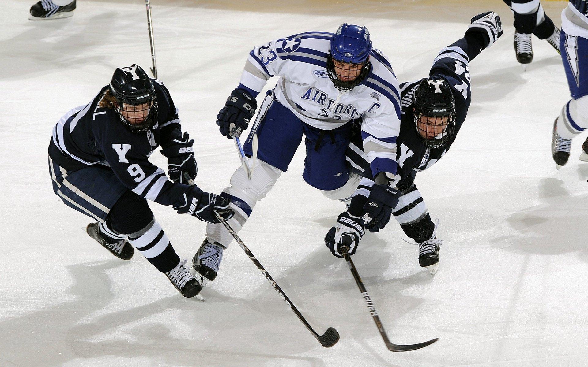 体育产业迎来新机遇，政策支持与消费升级推动高质量发展
